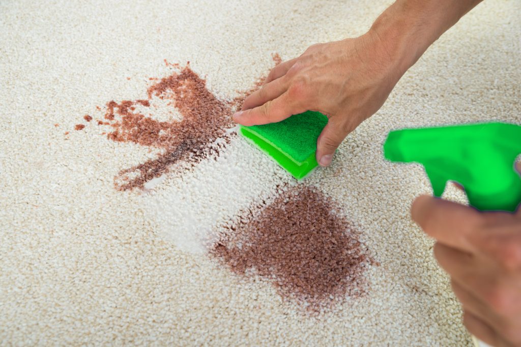 cropped image man cleaning stain carpet with sponge kopia